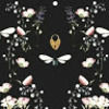 jenina_